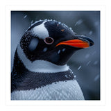 Close Up Penguin Portrait In Snowy Weather (Print Only) thumbnail