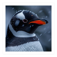 Close Up Penguin Portrait In Snowy Weather (Print Only)