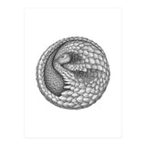 Pangolin no. 2 (Print Only) thumbnail