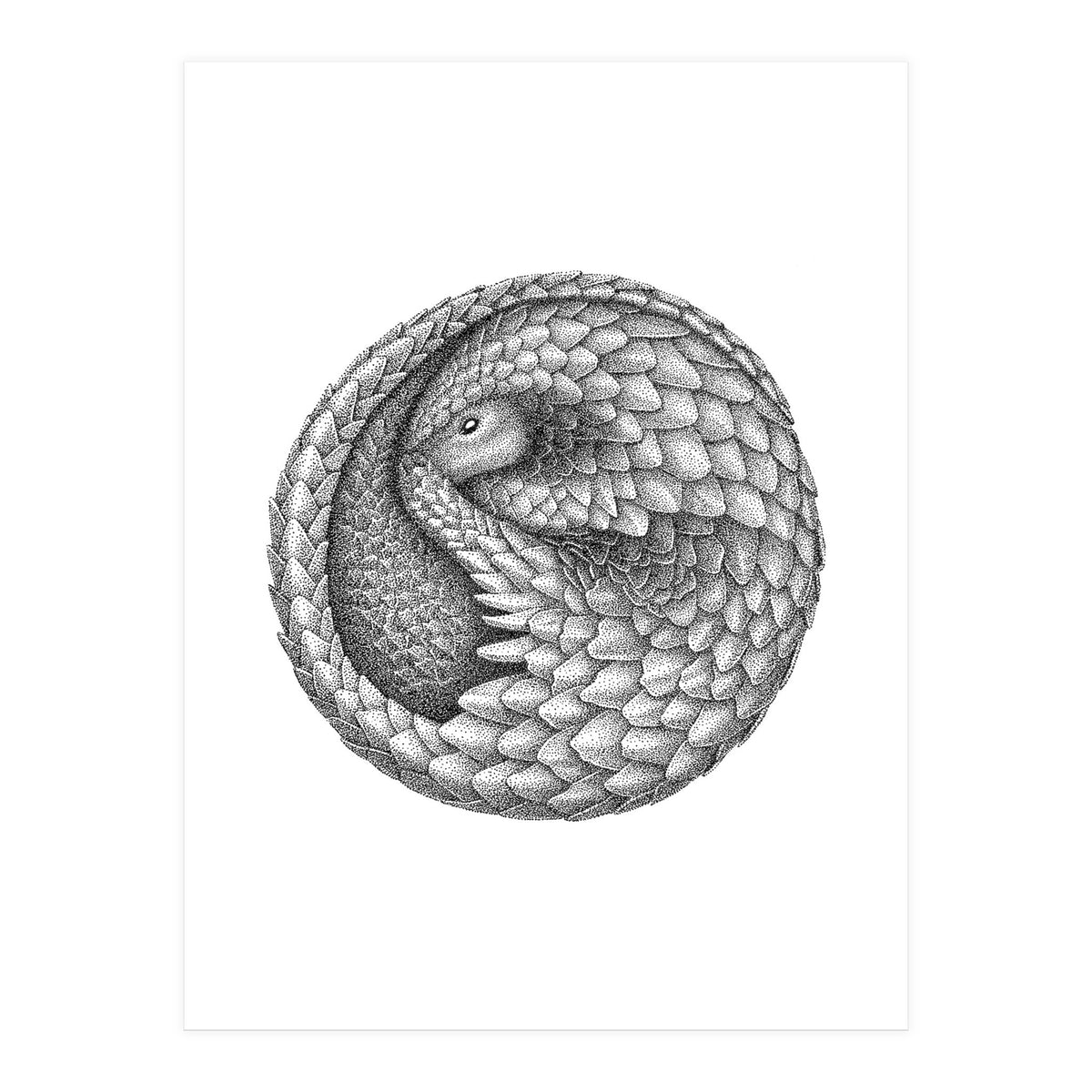 Pangolin no. 2 (Print Only)