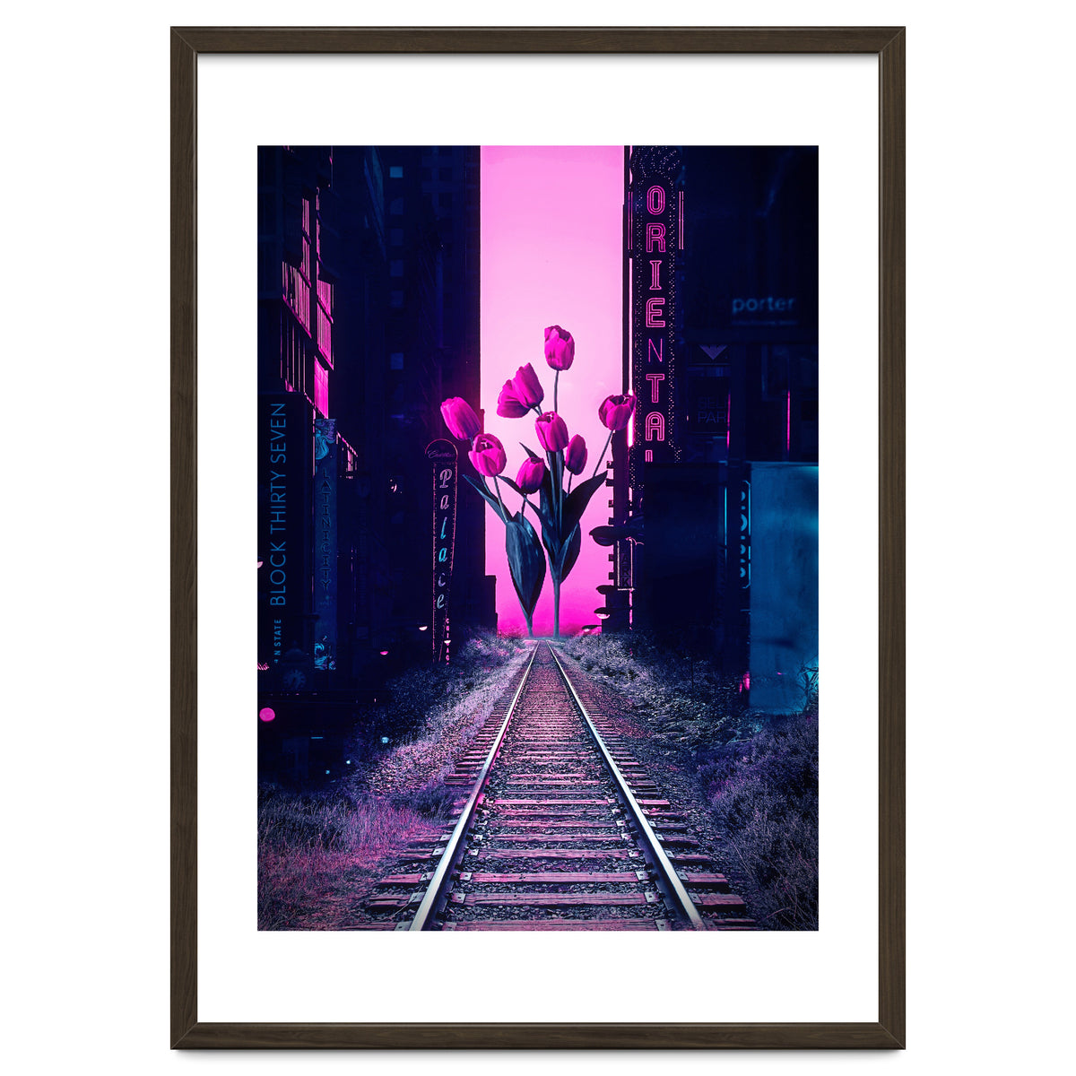 red tulips in the middle of the city