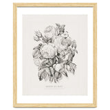Currier & Ives – Rose of May (1870) thumbnail