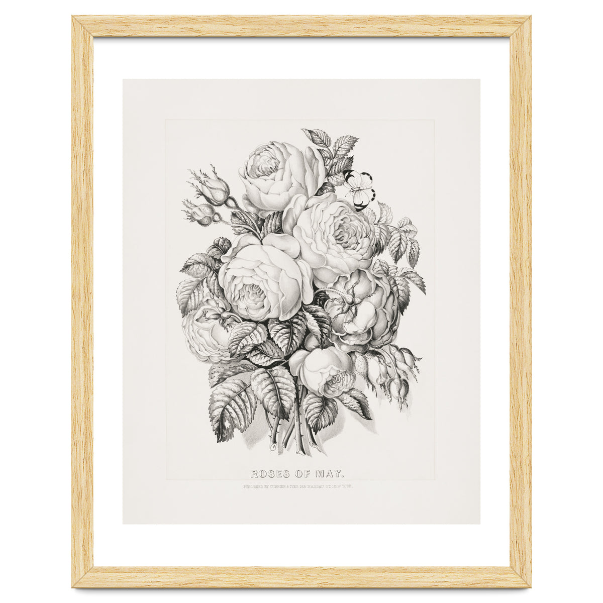 Currier & Ives – Rose of May (1870)