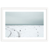 Seagulls in the winter snow beach thumbnail