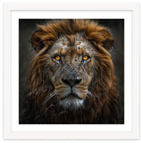 Majestic Lion With Glowing Eyes Close Up Portrait thumbnail