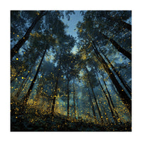 Celestial Forest Canopy with Swirling Golden Fireflies and Deep Twilight Blue Sky Digital Art (Print Only)