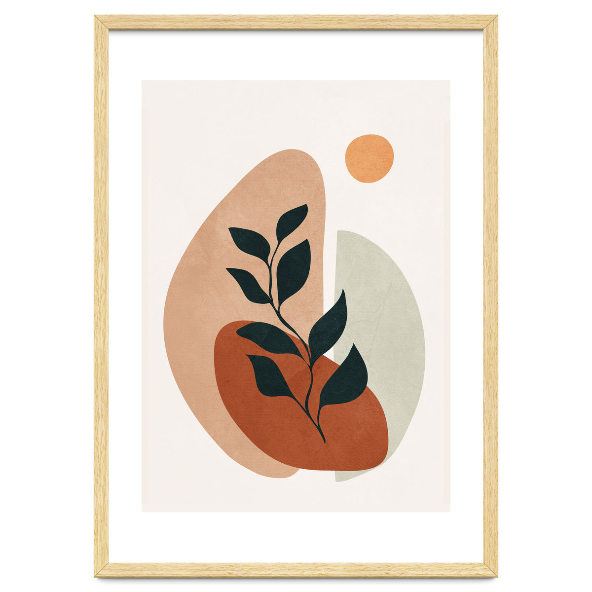 Soft Shapes II