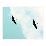 Crane(s) V (Print Only) thumbnail