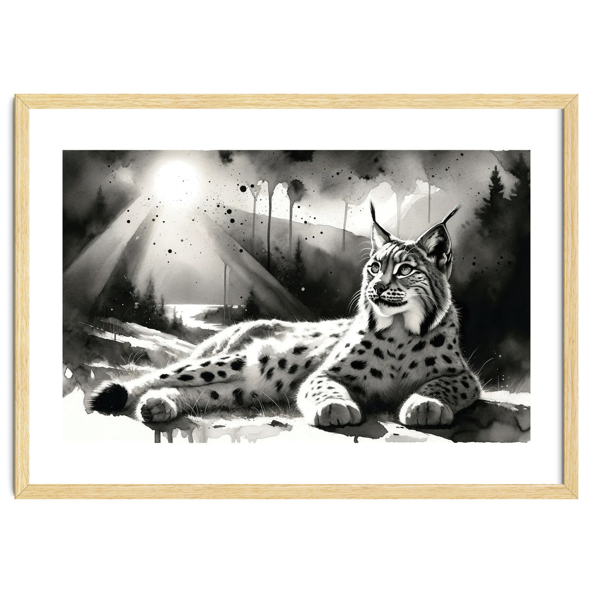 Lynx Resting In Sunlight