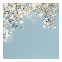 Symphony Blues (Print Only)