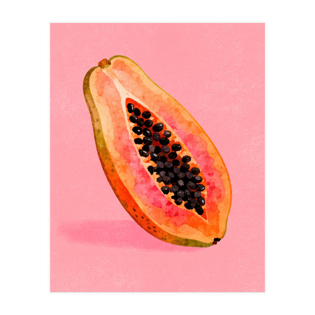 Papaya fruit illustration (Print Only)