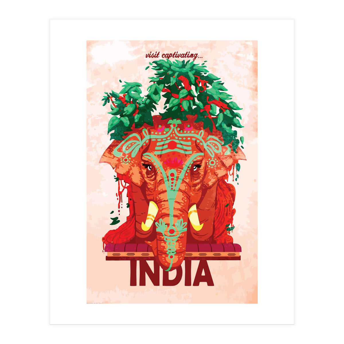 Captivating India (Print Only)