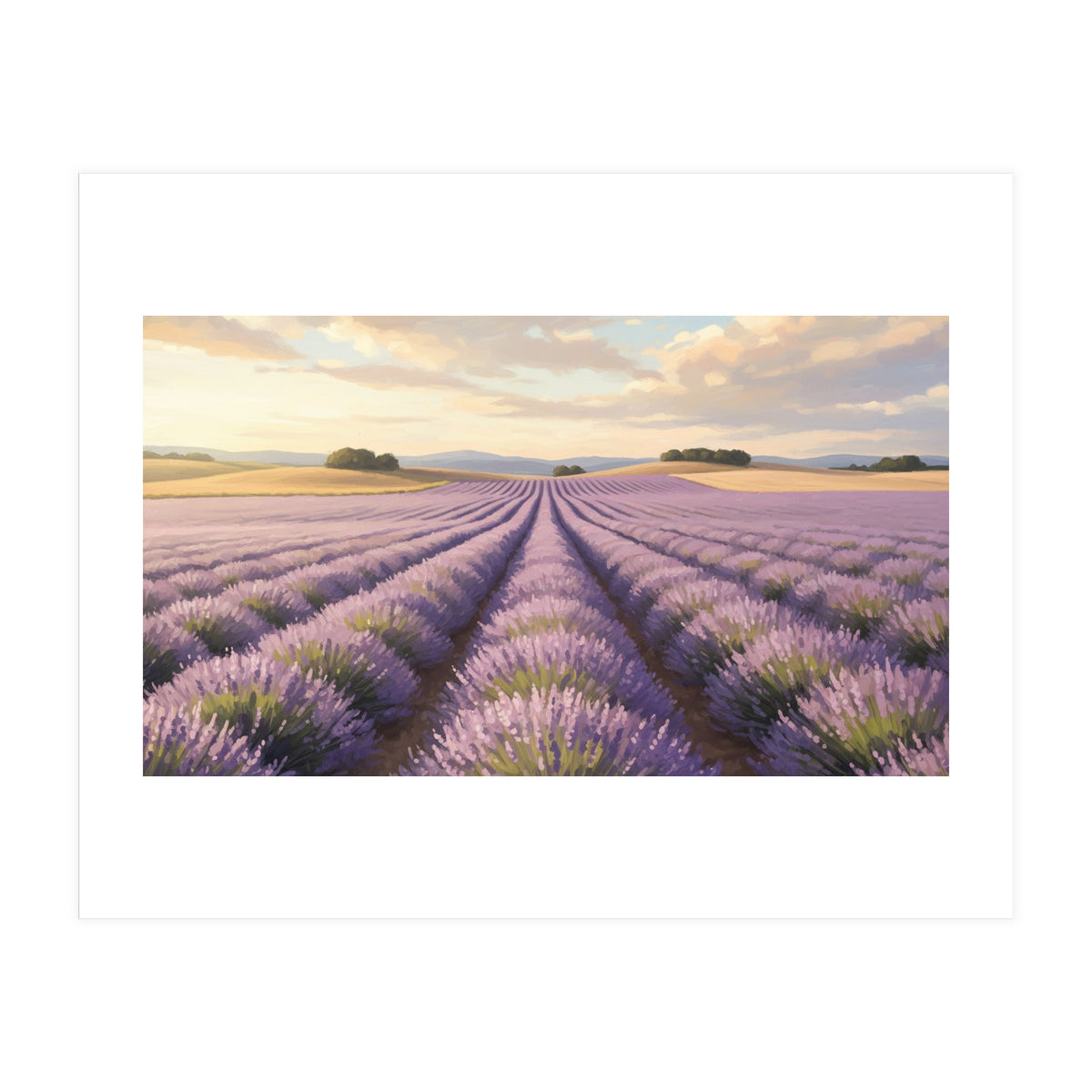 Provençal Sunset: Lavender Field Landscape (Print Only)