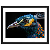 Close Up Of A Peacock Bird Head Eye thumbnail