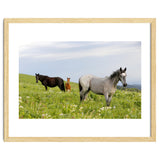 Equine Family thumbnail