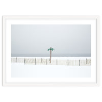 Fake palm tree in the winter snow beach