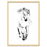Runninh Ghorse In Water thumbnail