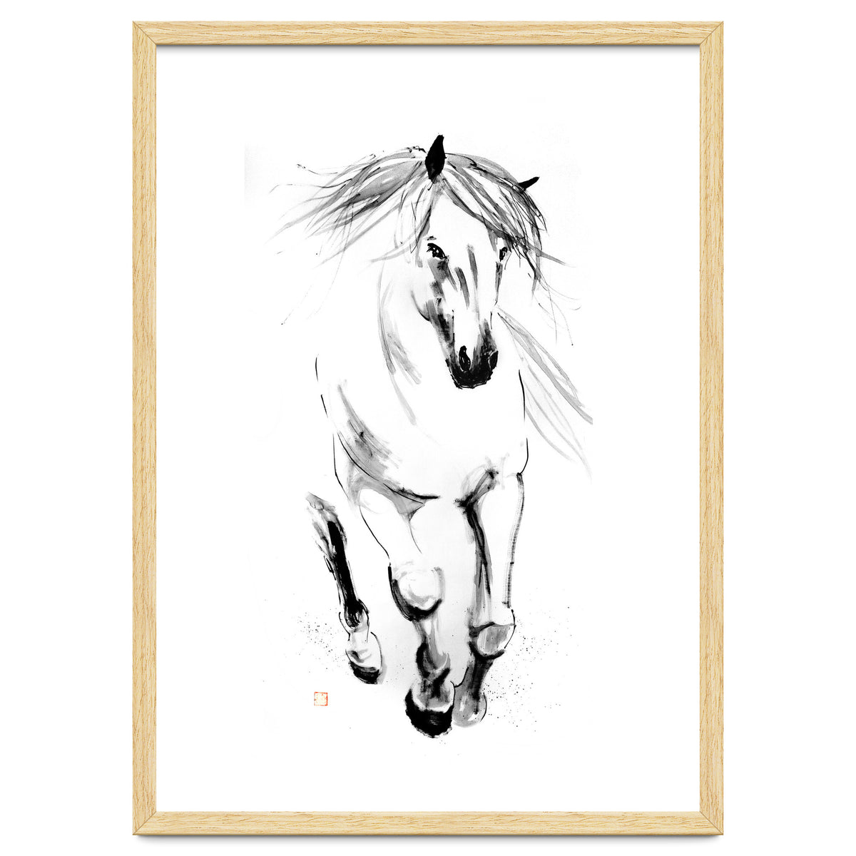 Runninh Ghorse In Water