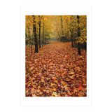 Ethereal Autumn Forest Path (Print Only) thumbnail