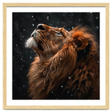 Lion Looking Up In The Snow Majestic thumbnail