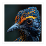 Close Up Of A Colorful Bird Head And Eye (Print Only) thumbnail