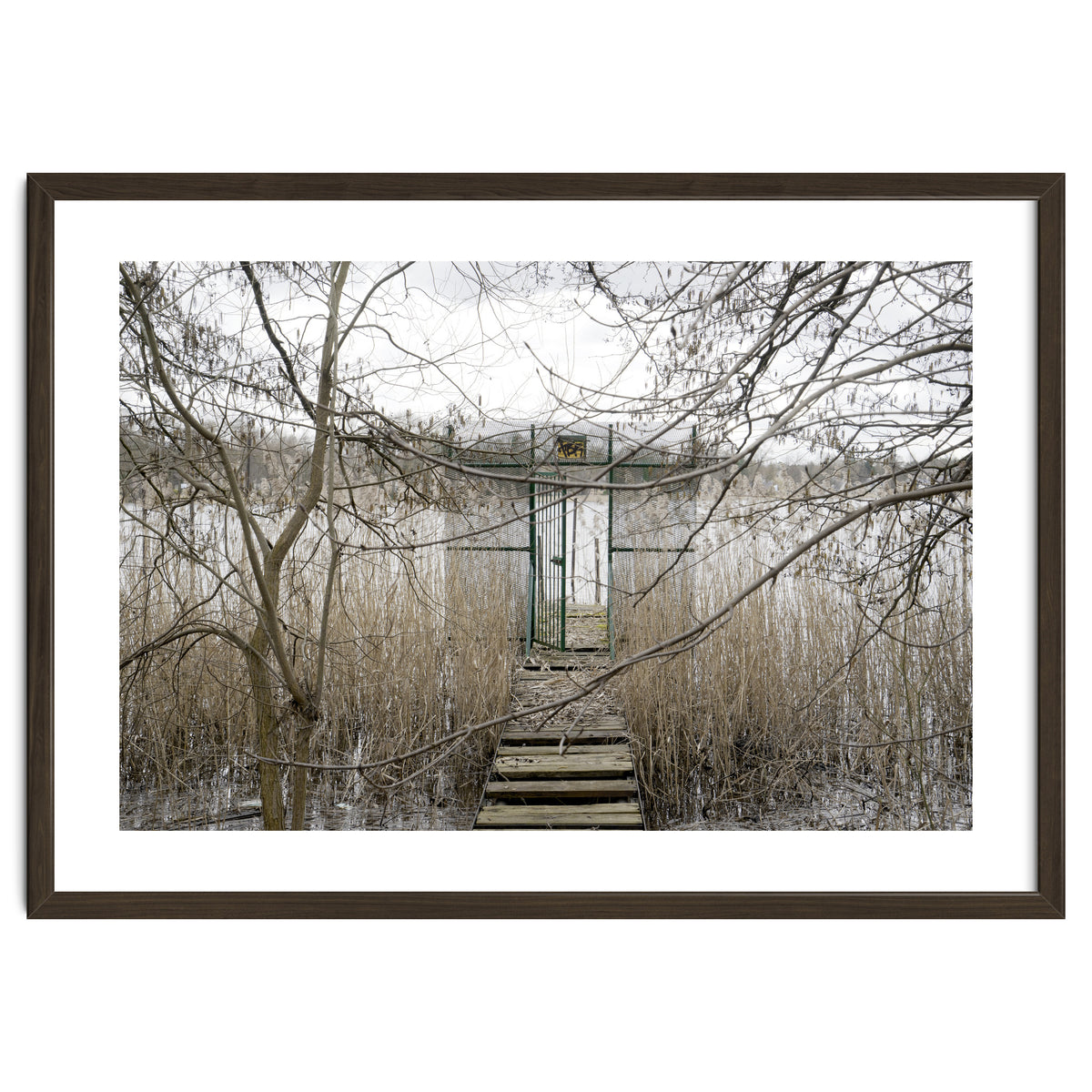 The gate to the lake