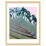 Palm Springs thumbnail
