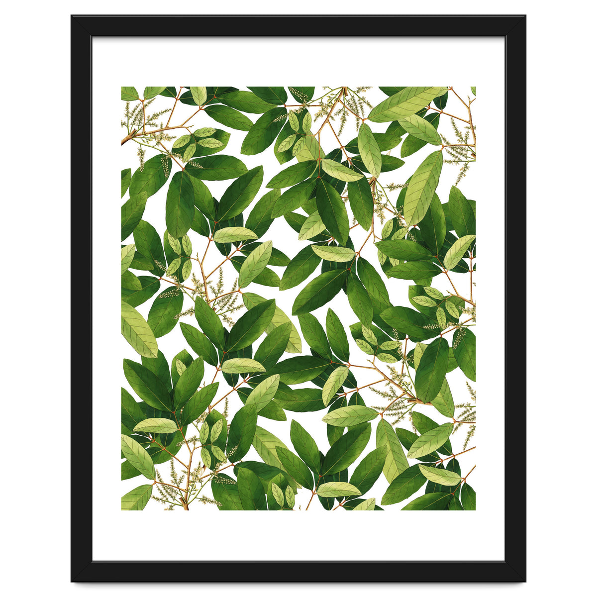 Greenery #society6 #decor #buyart