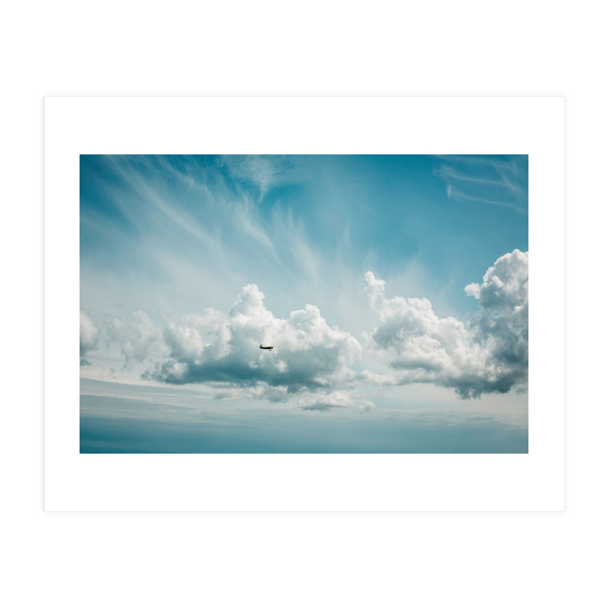 Airborne (Print Only)