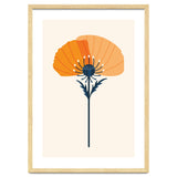 Orange Half Poppy thumbnail