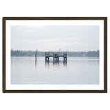 Birds rest in the Lake thumbnail