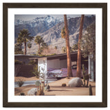 Palm Springs Pink II thumbnail