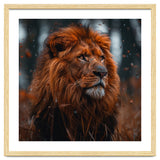 Majestic Lion King Of The Jungle Close Up Portrait thumbnail