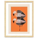 Tangerine Flamingos thumbnail