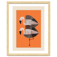 Tangerine Flamingos