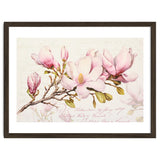 Magnolia Spring Romance Pink thumbnail