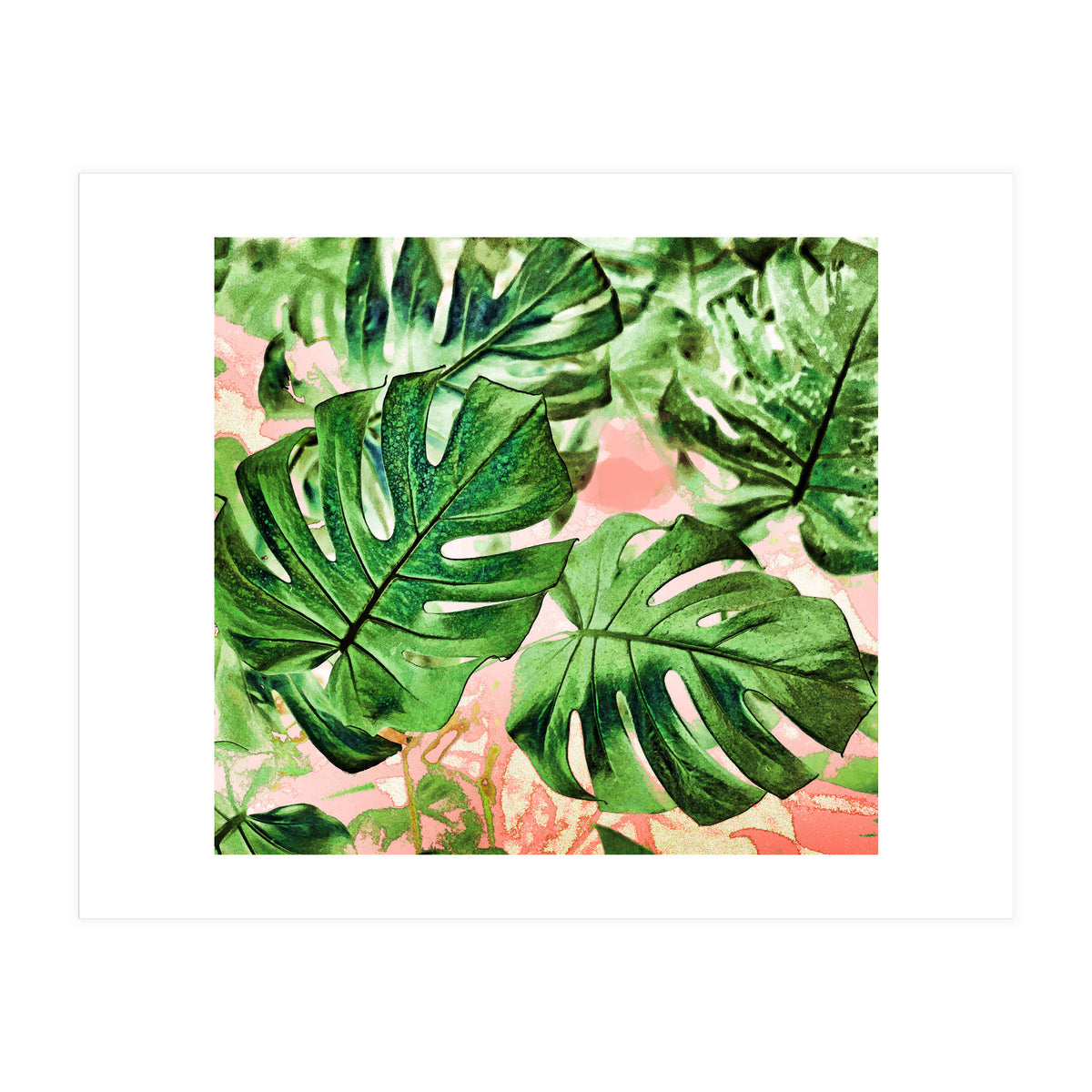Monstera Beauty #society6 #decor #buyart (Print Only)
