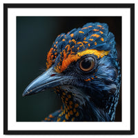 Close Up Of A Colorful Bird Head And Eye