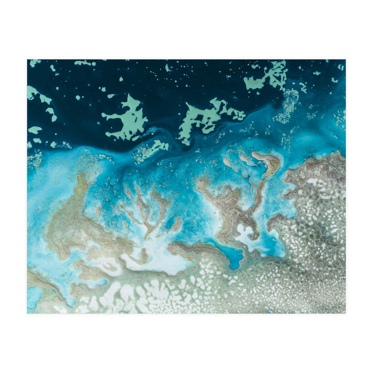 The Oasis (Print Only)