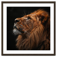 Majestic Lion Portrait Profile Majestic Beast