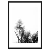 Miminalist Palm thumbnail