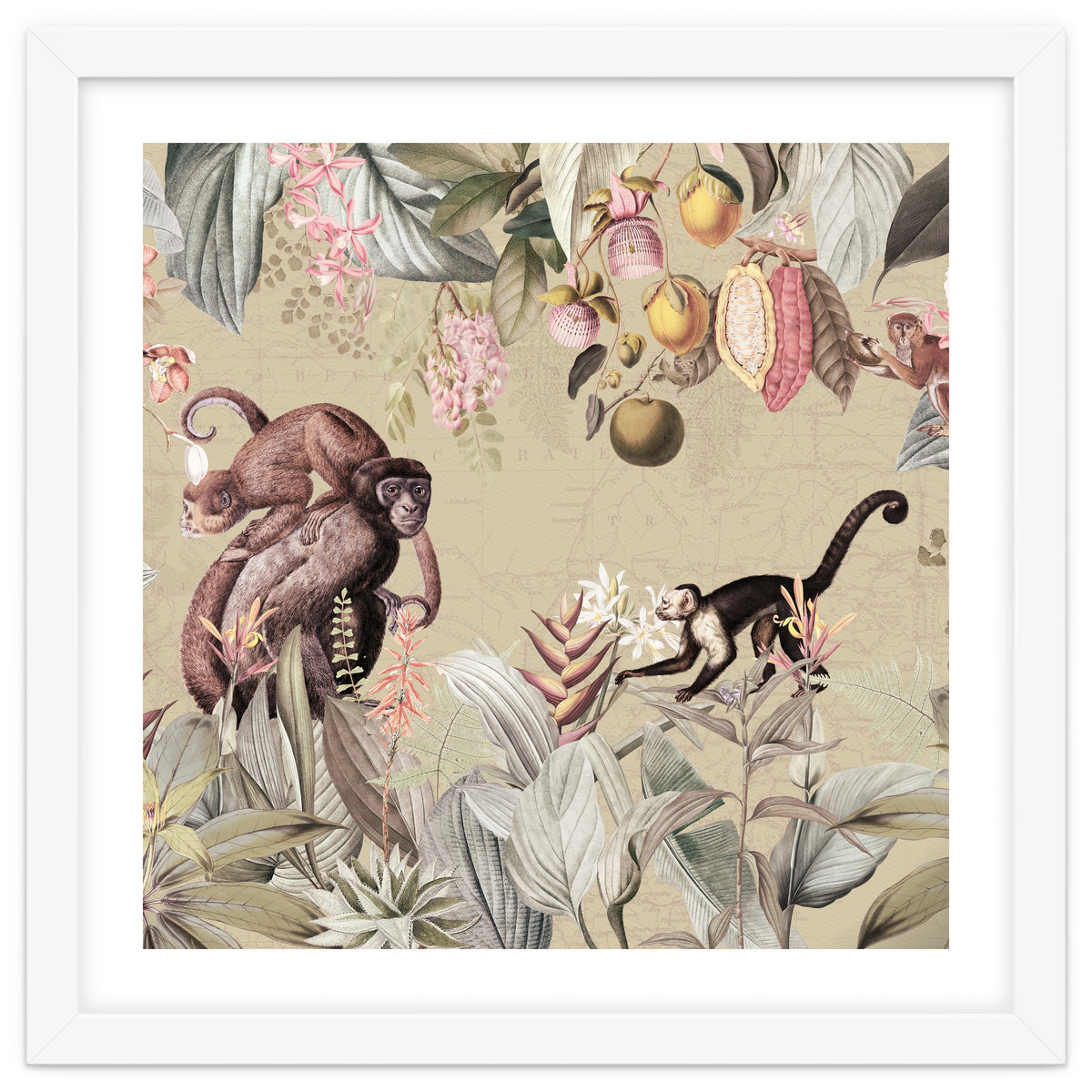 Vintage Exotic Monkeys In African Jungle Landscape