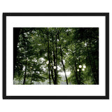 Light bulb among the trees in the summer forest thumbnail