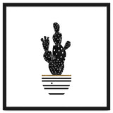 Black Cactus thumbnail
