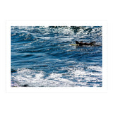 Forward (Print Only) thumbnail