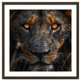 Majestic Lion Face Intense Orange Eyes Close Up thumbnail