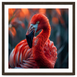 Vibrant Flamingo Close Up Portrait Outdoor Nature thumbnail