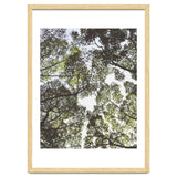 Mother Nature thumbnail