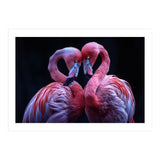 Two Pink Flamingos Forming A Heart Shape (Print Only) thumbnail