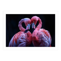 Two Pink Flamingos Forming A Heart Shape (Print Only)